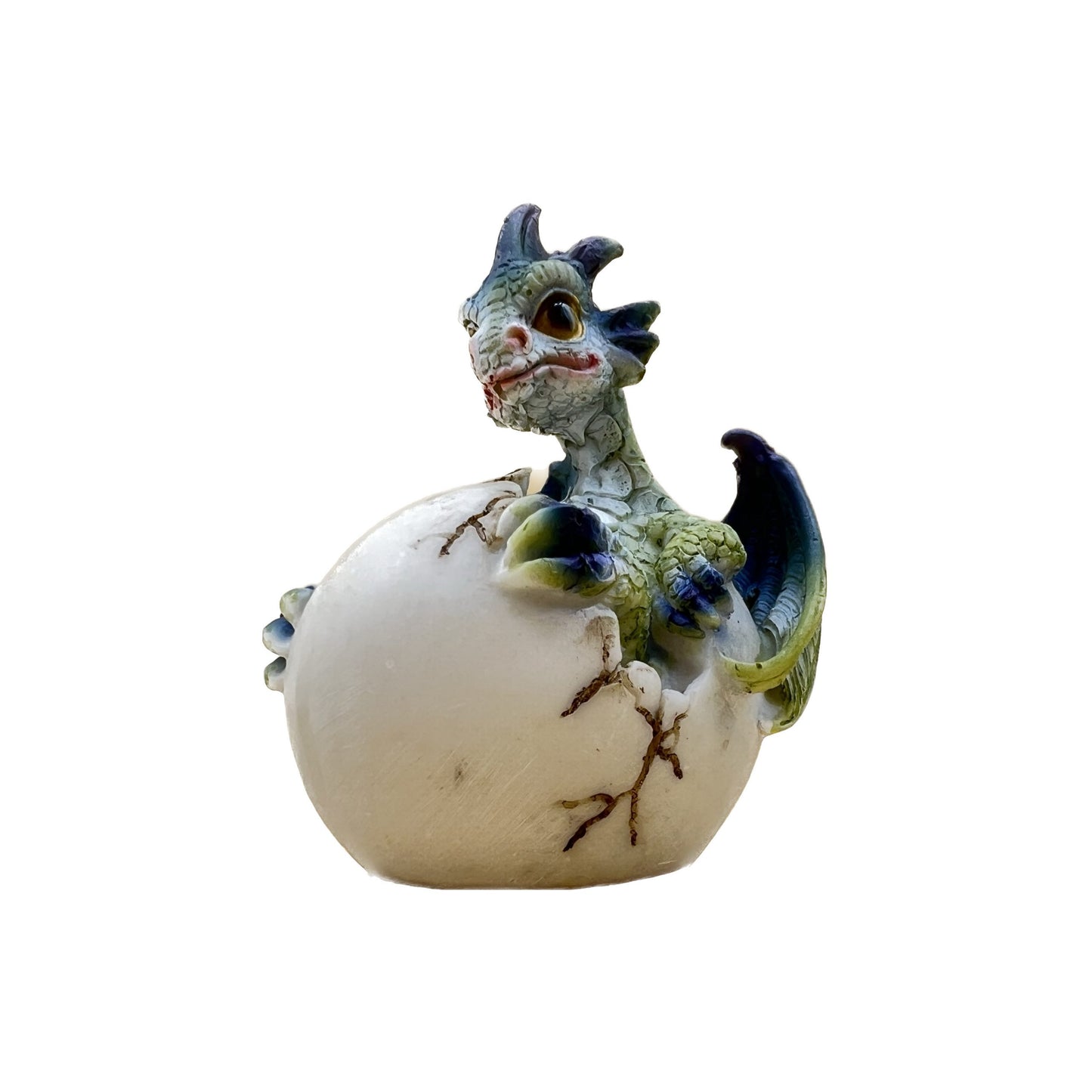 Draghetto con uovo schiuso 1