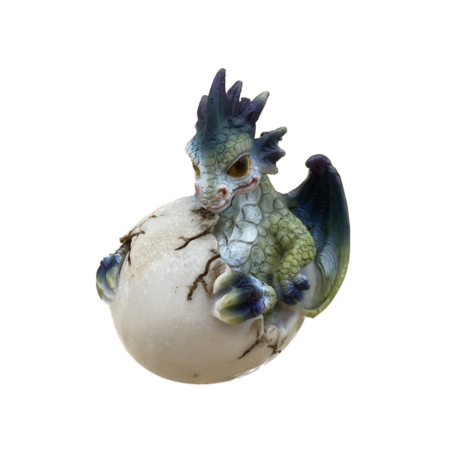 Draghetto con uovo schiuso 1