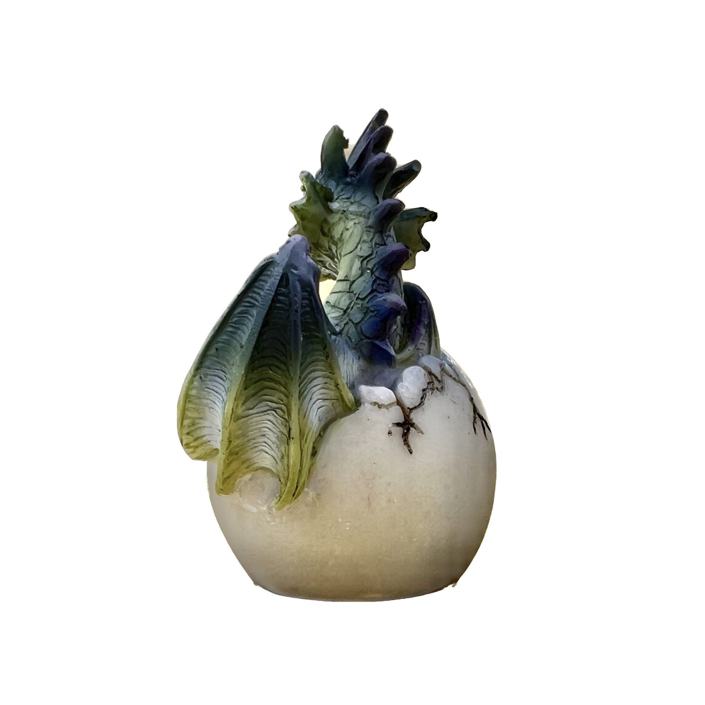 Draghetto con uovo schiuso 1