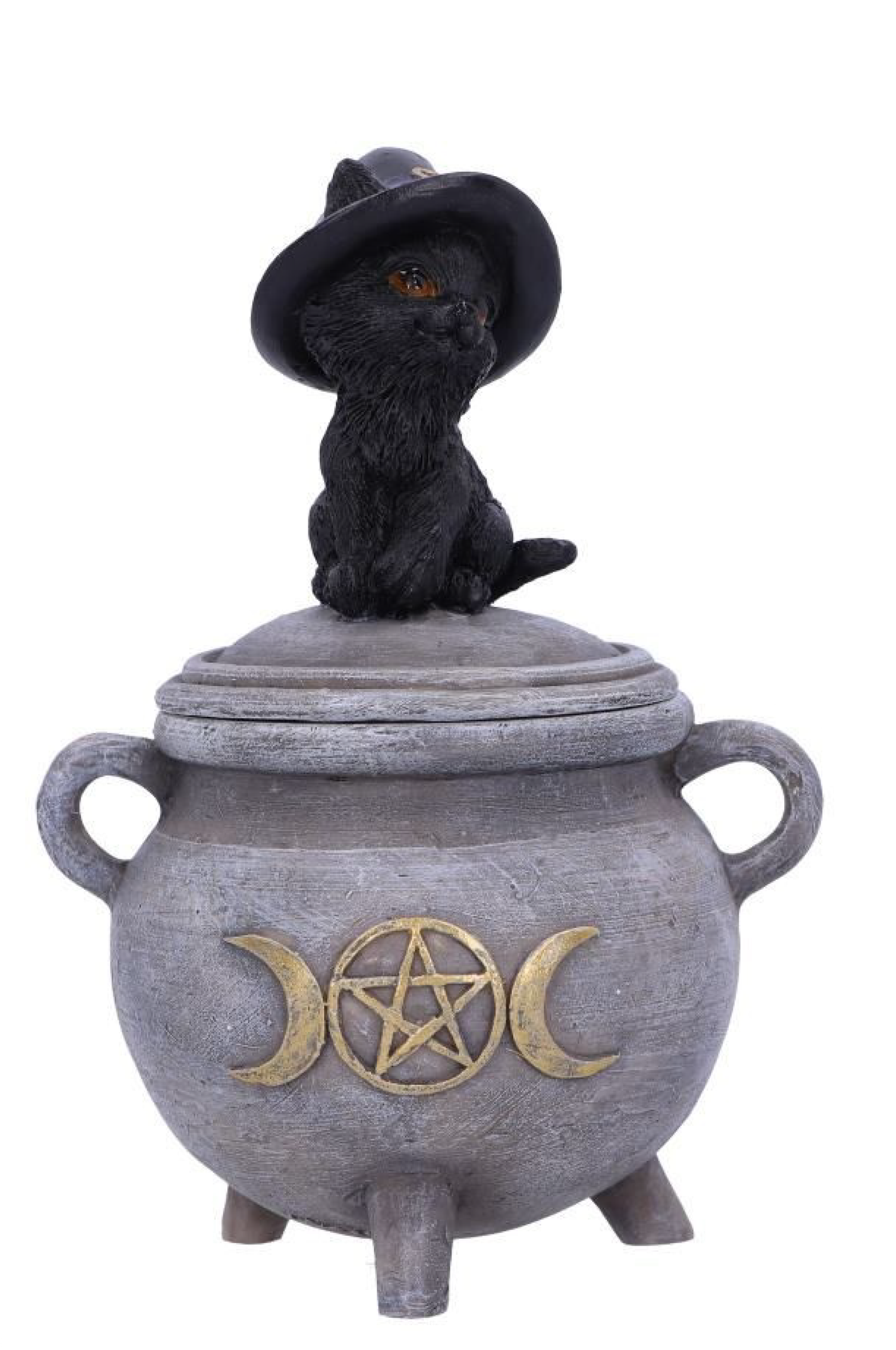 KITTY'S BREW