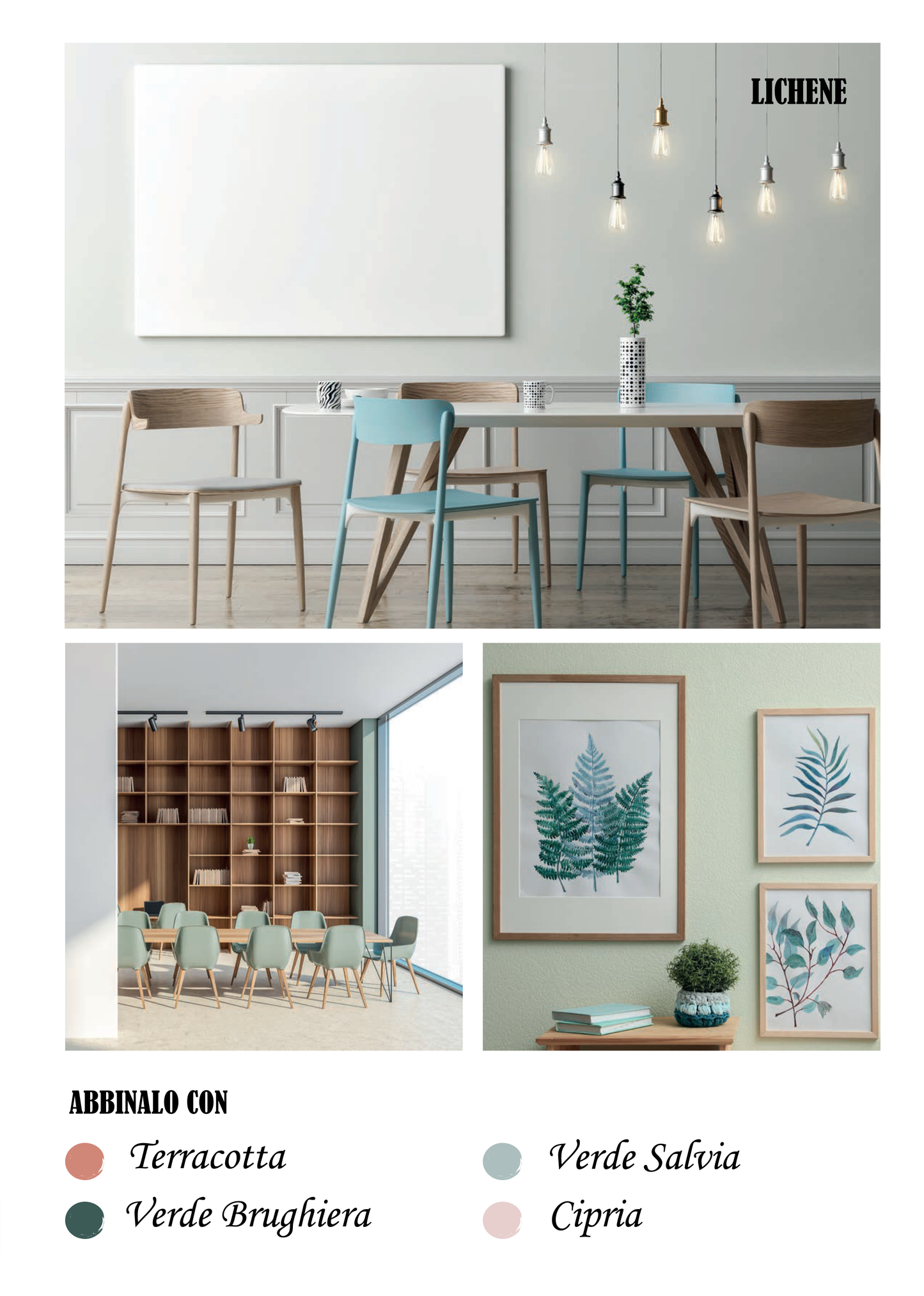Novecento paint - LICHENE