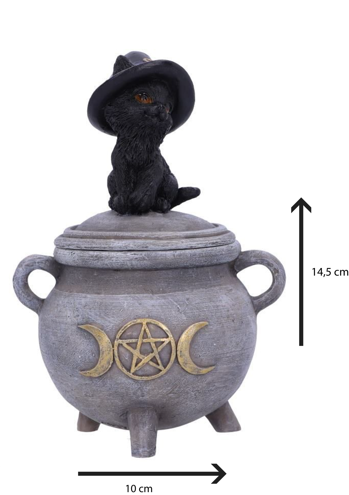 KITTY'S BREW
